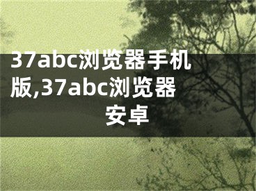 37abc瀏覽器手機版,37abc瀏覽器安卓