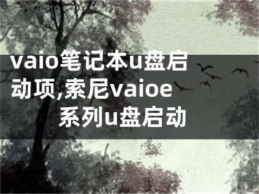 vaio筆記本u盤啟動項,索尼vaioe系列u盤啟動