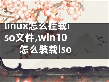 linux怎么掛載iso文件,win10怎么裝載iso