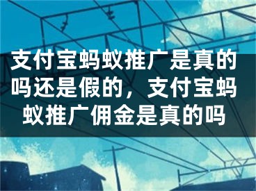 支付寶螞蟻推廣是真的嗎還是假的，支付寶螞蟻推廣傭金是真的嗎