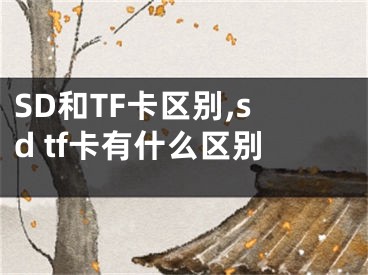 SD和TF卡區(qū)別,sd tf卡有什么區(qū)別