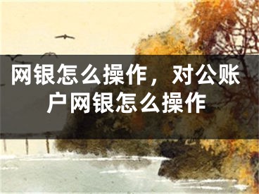 網(wǎng)銀怎么操作，對公賬戶網(wǎng)銀怎么操作