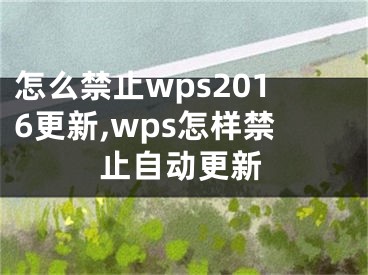 怎么禁止wps2016更新,wps怎樣禁止自動更新