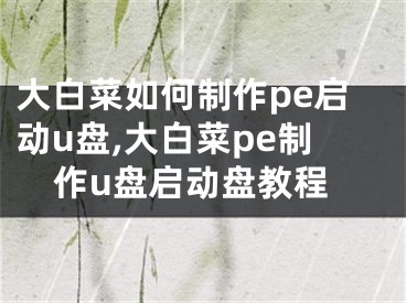 大白菜如何制作pe啟動(dòng)u盤,大白菜pe制作u盤啟動(dòng)盤教程