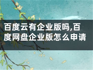 百度云有企業(yè)版嗎,百度網(wǎng)盤企業(yè)版怎么申請