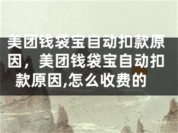 美團錢袋寶自動扣款原因，美團錢袋寶自動扣款原因,怎么收費的