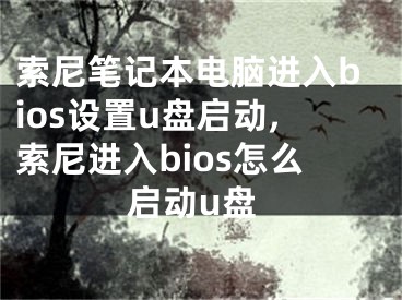 索尼筆記本電腦進(jìn)入bios設(shè)置u盤啟動,索尼進(jìn)入bios怎么啟動u盤