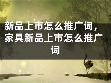 新品上市怎么推廣詞，家具新品上市怎么推廣詞