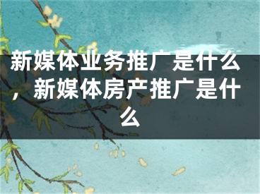 新媒體業(yè)務(wù)推廣是什么，新媒體房產(chǎn)推廣是什么