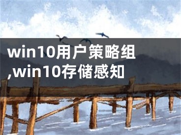 win10用戶策略組,win10存儲(chǔ)感知