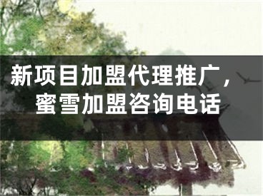 新項目加盟代理推廣，蜜雪加盟咨詢電話