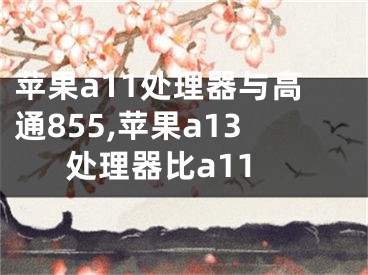 蘋果a11處理器與高通855,蘋果a13處理器比a11