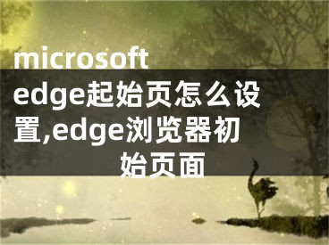 microsoft edge起始頁怎么設(shè)置,edge瀏覽器初始頁面