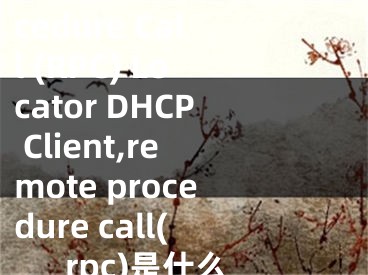 Remote Procedure Call (RPC) Locator DHCP Client,remote procedure call(rpc)是什么