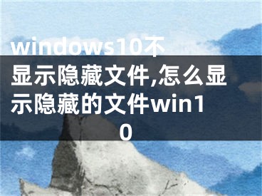 windows10不顯示隱藏文件,怎么顯示隱藏的文件win10