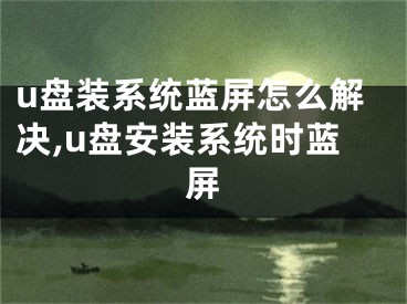 u盤(pán)裝系統(tǒng)藍(lán)屏怎么解決,u盤(pán)安裝系統(tǒng)時(shí)藍(lán)屏