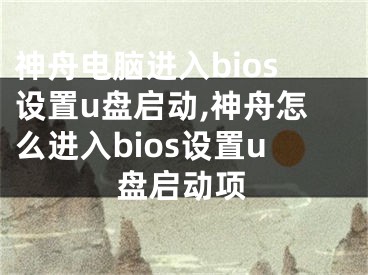 神舟電腦進入bios設置u盤啟動,神舟怎么進入bios設置u盤啟動項