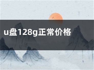 u盤128g正常價(jià)格