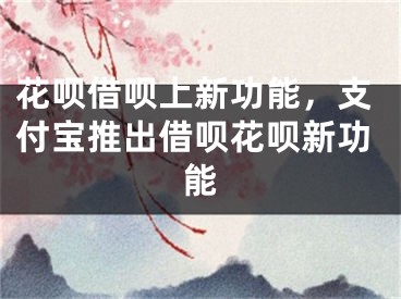 花唄借唄上新功能，支付寶推出借唄花唄新功能