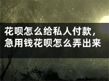 花唄怎么給私人付款，急用錢花唄怎么弄出來