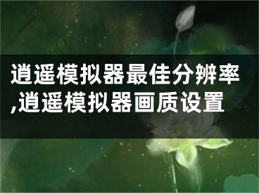 逍遙模擬器最佳分辨率,逍遙模擬器畫質(zhì)設(shè)置