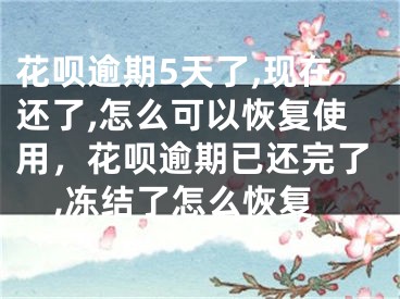 花唄逾期5天了,現(xiàn)在還了,怎么可以恢復使用，花唄逾期已還完了,凍結(jié)了怎么恢復