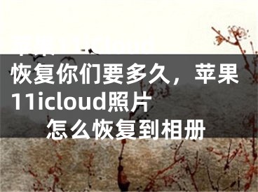 蘋果11iCloud恢復(fù)你們要多久，蘋果11icloud照片怎么恢復(fù)到相冊(cè)