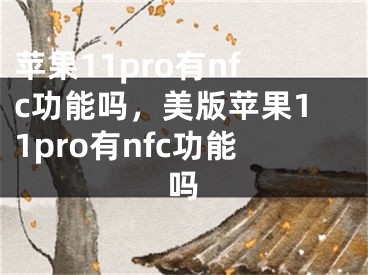 蘋果11pro有nfc功能嗎，美版蘋果11pro有nfc功能嗎