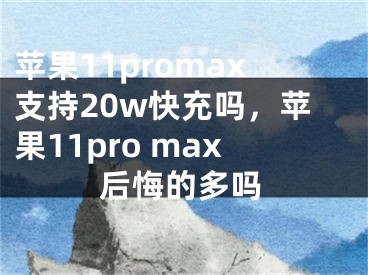 蘋(píng)果11promax支持20w快充嗎，蘋(píng)果11pro max后悔的多嗎