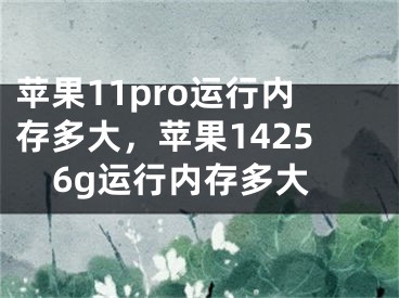 蘋果11pro運行內(nèi)存多大，蘋果14256g運行內(nèi)存多大