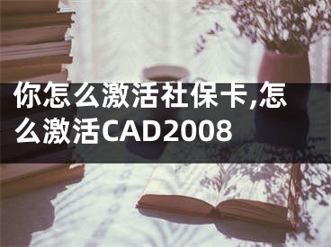 你怎么激活社?？?怎么激活CAD2008