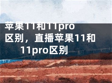 蘋果11和11pro區(qū)別，直播蘋果11和11pro區(qū)別