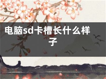 電腦sd卡槽長什么樣子