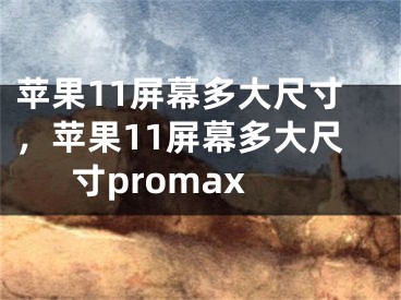 蘋果11屏幕多大尺寸，蘋果11屏幕多大尺寸promax