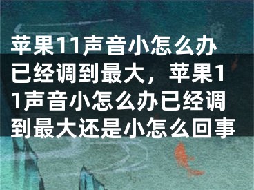 蘋果11聲音小怎么辦已經(jīng)調(diào)到最大，蘋果11聲音小怎么辦已經(jīng)調(diào)到最大還是小怎么回事