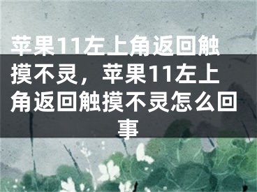 蘋果11左上角返回觸摸不靈，蘋果11左上角返回觸摸不靈怎么回事