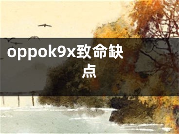 oppok9x致命缺點(diǎn)