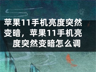 蘋果11手機亮度突然變暗，蘋果11手機亮度突然變暗怎么調