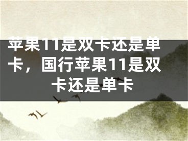 蘋果11是雙卡還是單卡，國行蘋果11是雙卡還是單卡