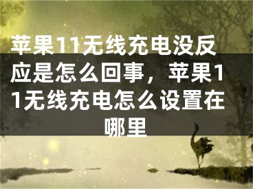 蘋果11無線充電沒反應(yīng)是怎么回事，蘋果11無線充電怎么設(shè)置在哪里