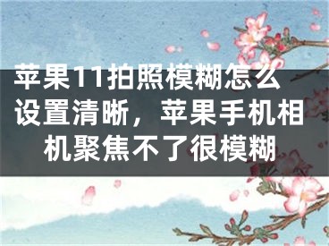 蘋果11拍照模糊怎么設(shè)置清晰，蘋果手機相機聚焦不了很模糊