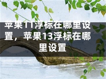 蘋果11浮標在哪里設(shè)置，蘋果13浮標在哪里設(shè)置