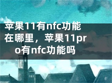 蘋果11有nfc功能在哪里，蘋果11pro有nfc功能嗎