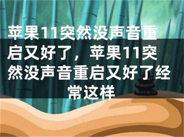 蘋果11突然沒聲音重啟又好了，蘋果11突然沒聲音重啟又好了經常這樣