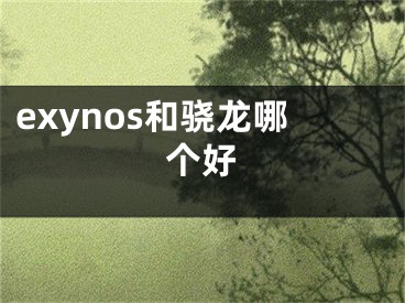 exynos和驍龍哪個(gè)好