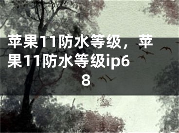 蘋果11防水等級，蘋果11防水等級ip68