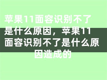 蘋(píng)果11面容識(shí)別不了是什么原因，蘋(píng)果11面容識(shí)別不了是什么原因造成的