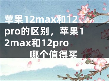 蘋果12max和12pro的區(qū)別，蘋果12max和12pro哪個值得買