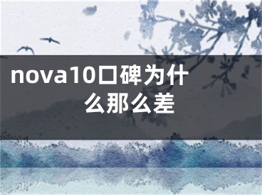 nova10口碑為什么那么差