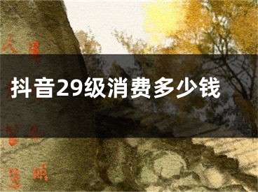 抖音29級消費(fèi)多少錢